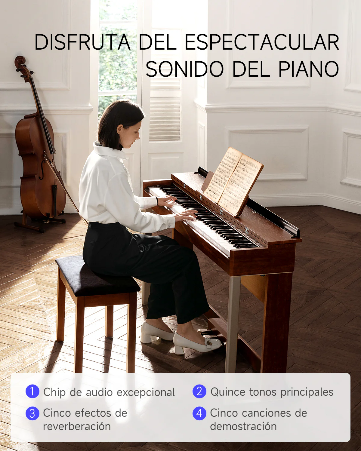 Imagen del producto 29