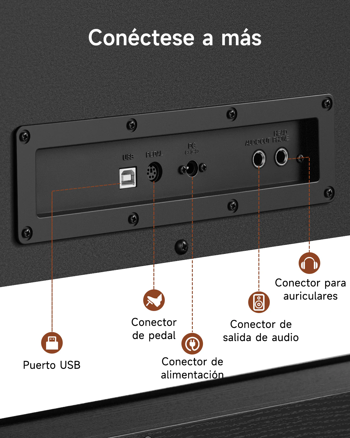 Imagen del producto 16