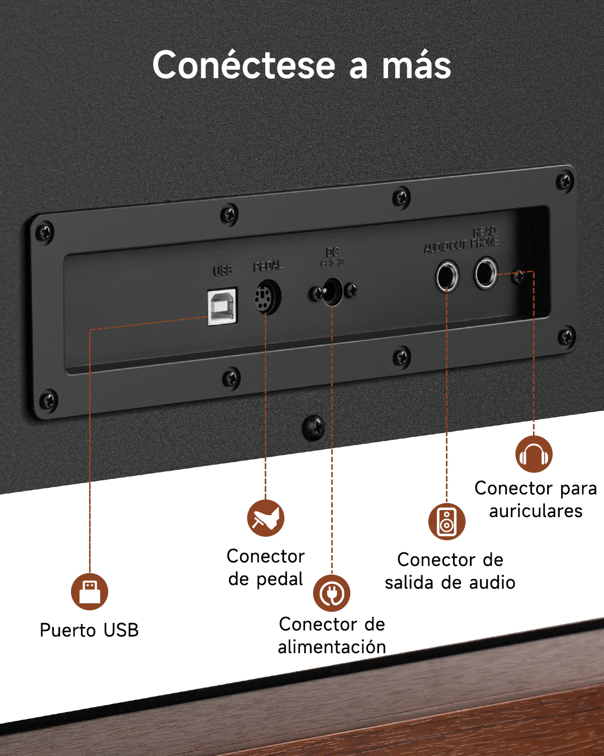 Imagen del producto 23
