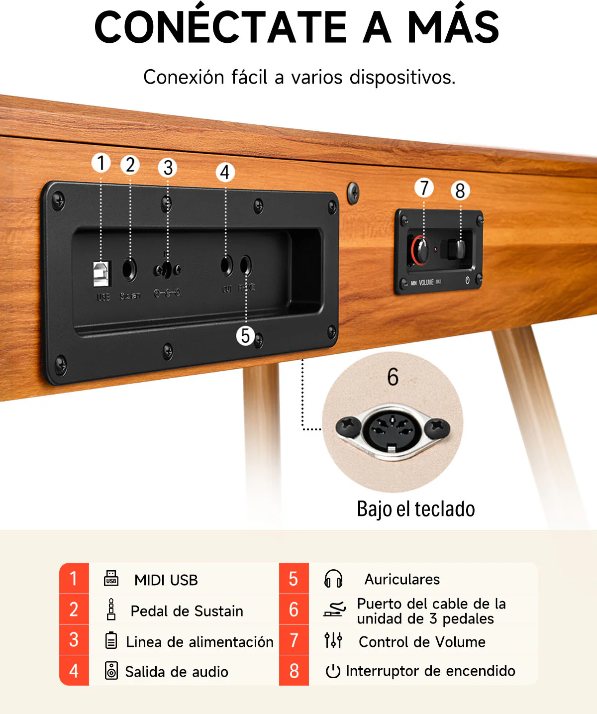 Imagen del producto 38
