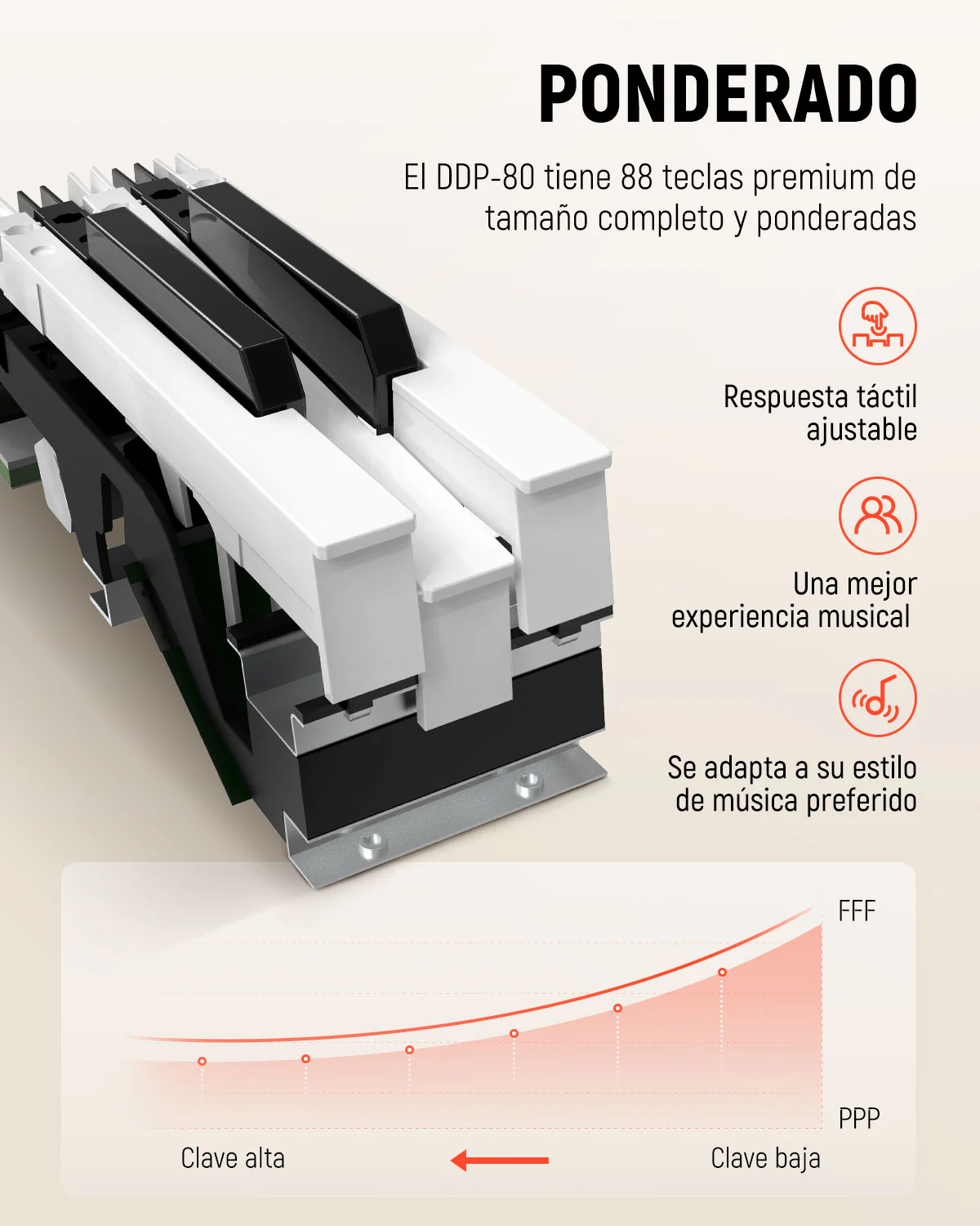 Imagen del producto 42