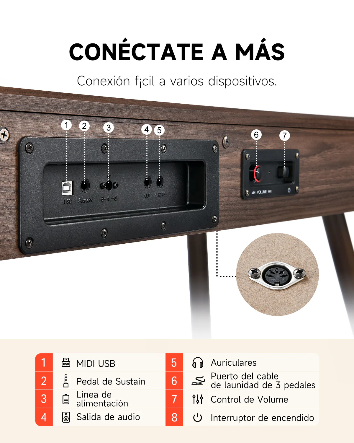 Imagen del producto 43