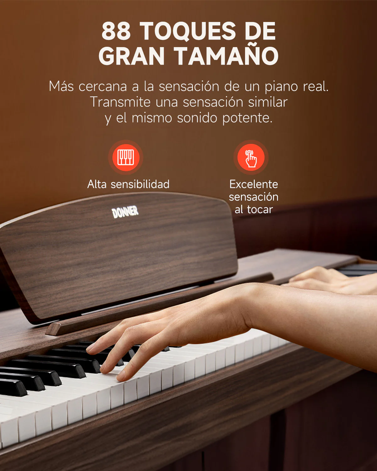 Imagen del producto 50