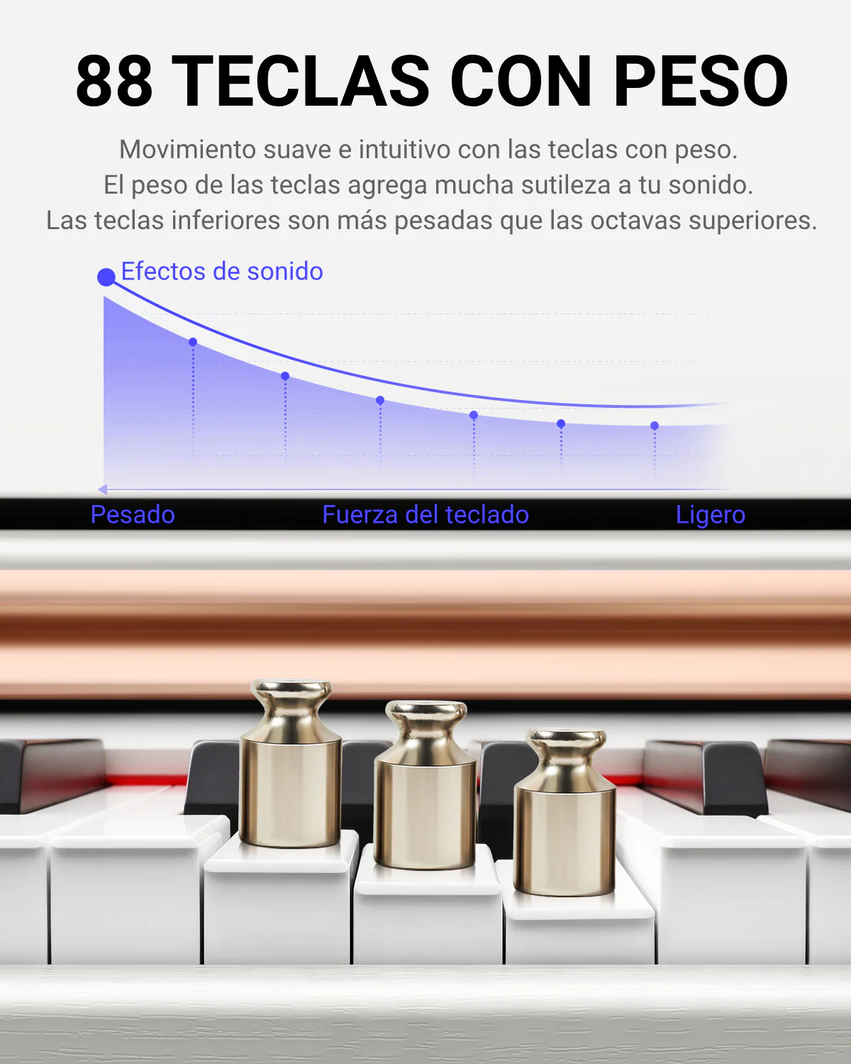 Imagen del producto 11