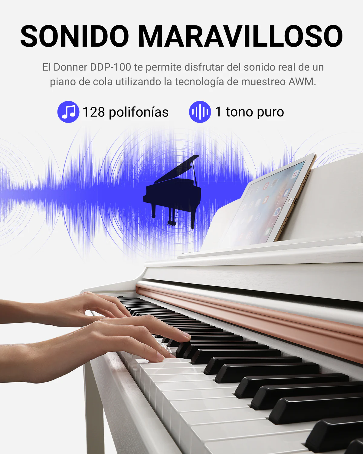 Imagen del producto 7