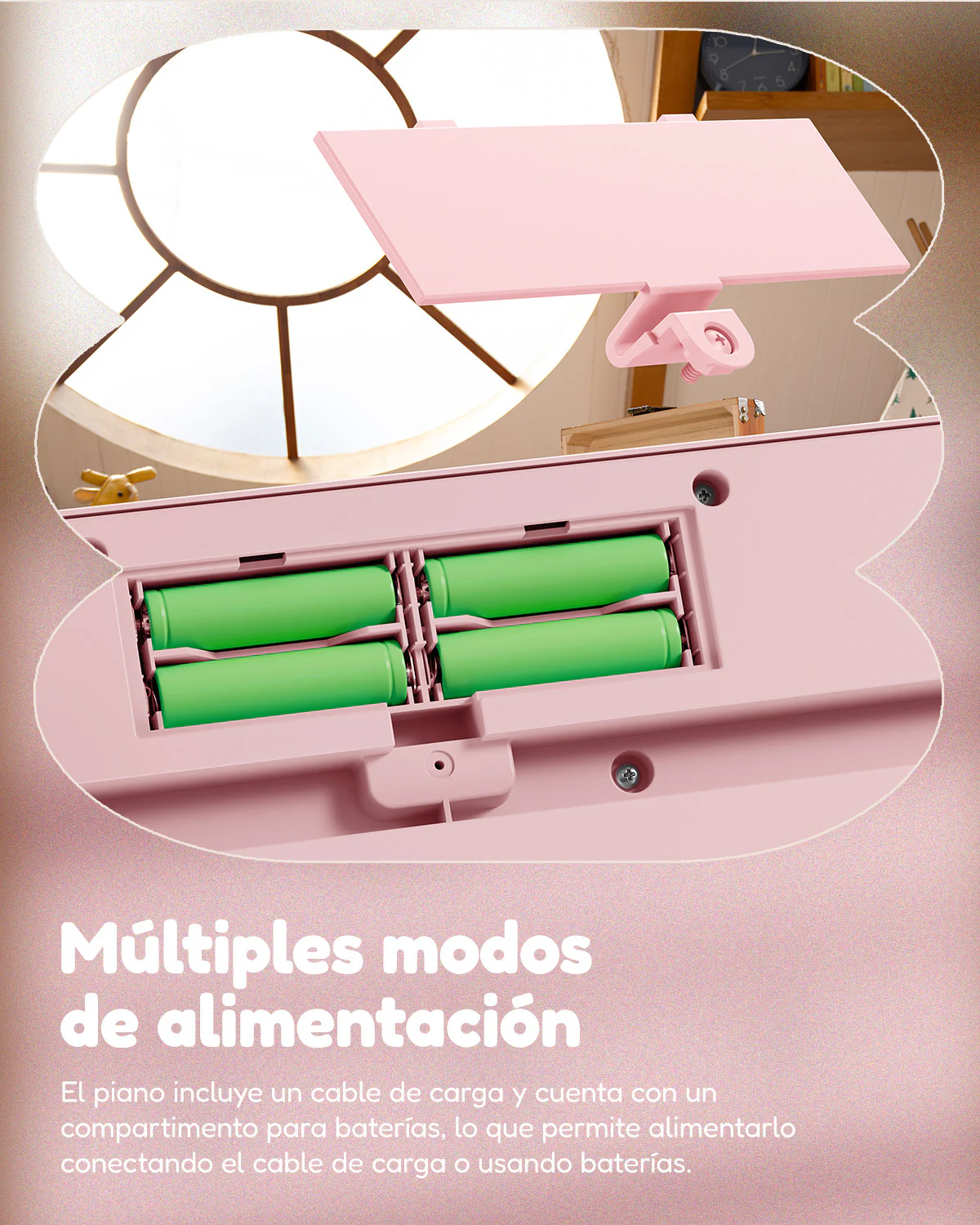 Imagen del producto 42