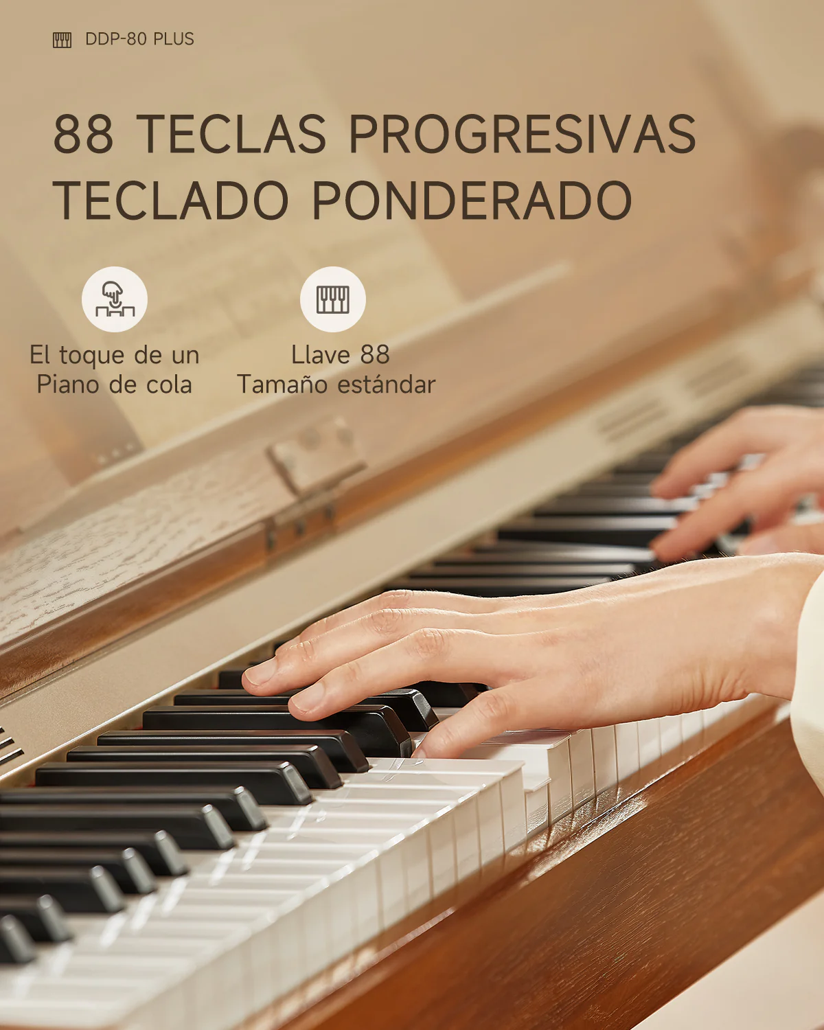 Imagen del producto 16